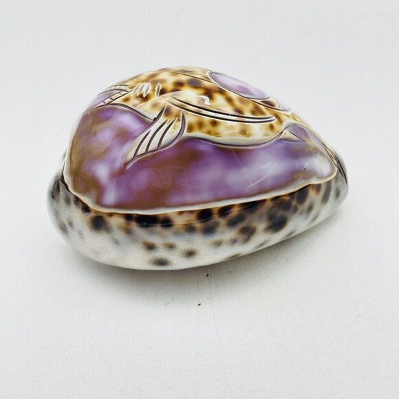 Cowrie Sea Shell Purple Top Hand Carved Engraved Swimming Shark Fish Beach Coast - Picture 3 of 9